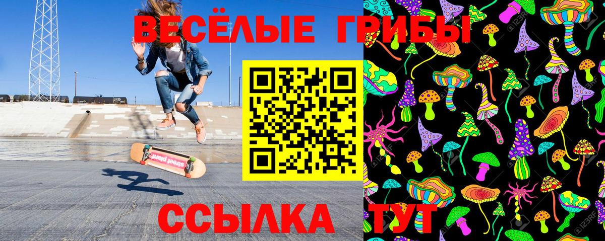 Галлюциногенные грибы GOLDEN TEACHER  Вход с VPN  наркошоп  Псилоцибиновые грибы MAGIC MUSHROOMS  Фролово 